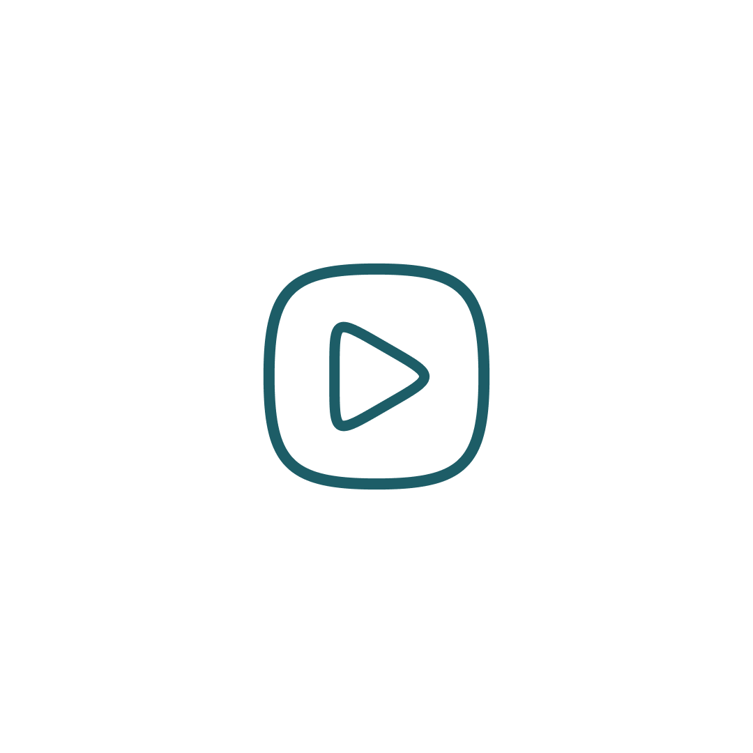 Single Video Section